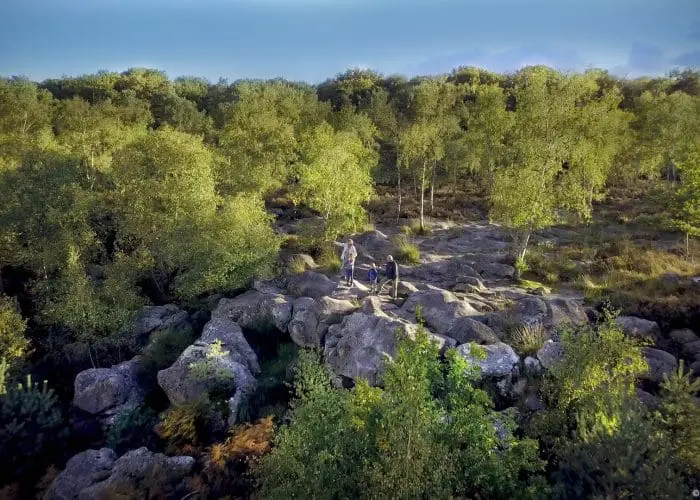 Forêt-de-Fontainebleau-tinarages