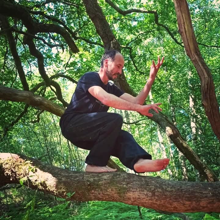 séjour qi gong en forêt Île-de-France