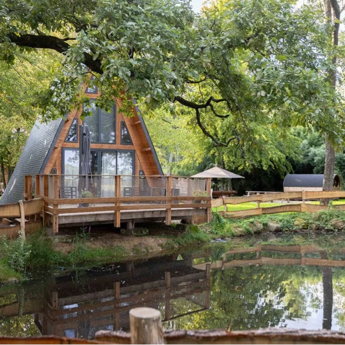 stage yoga en forêt Seine-et-Marne